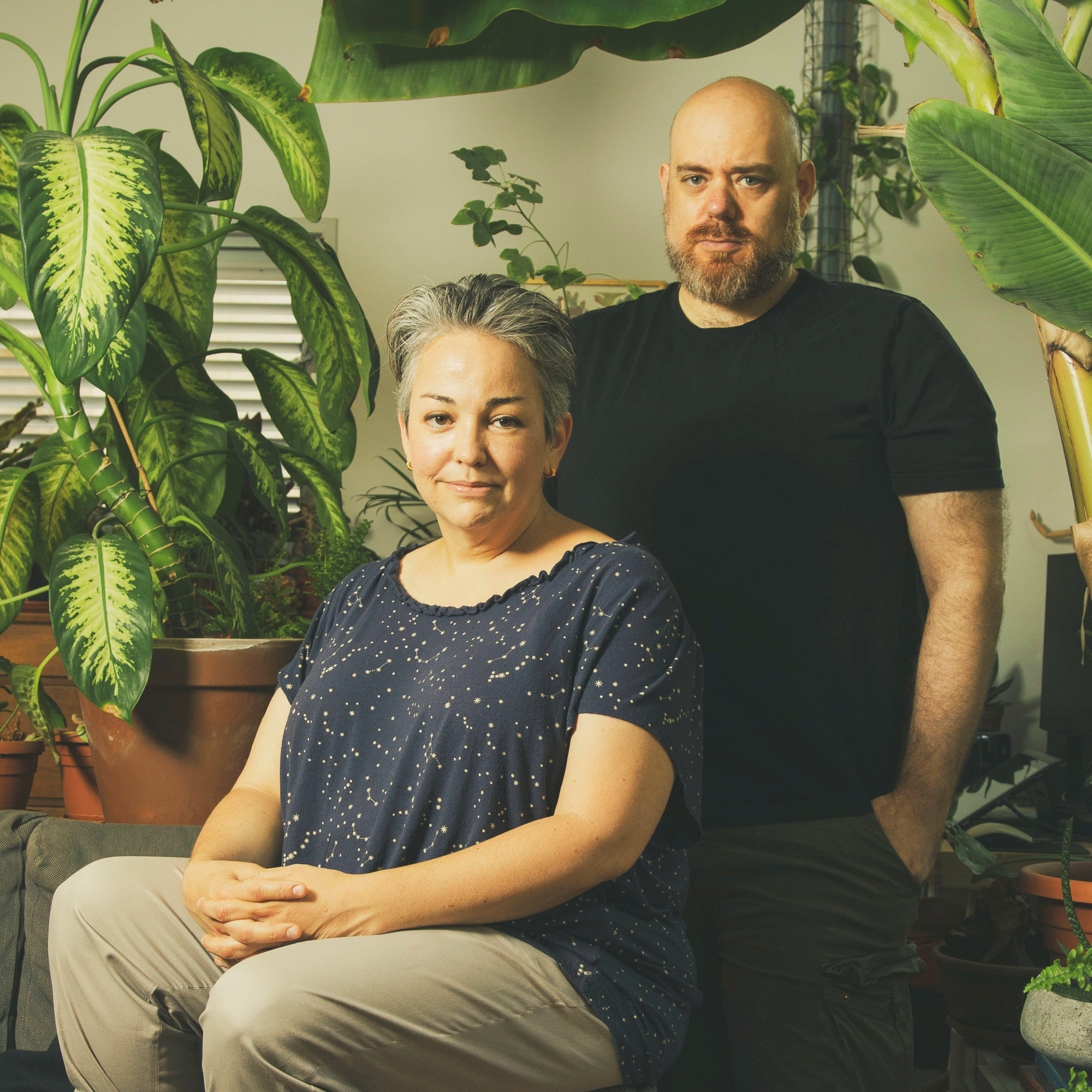 מתל אביב להוליווד בארבעה ריבועים