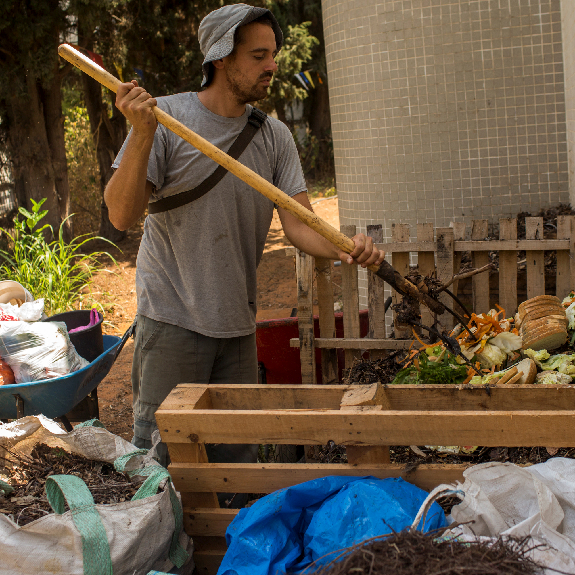 עודף מלימון רקוב?