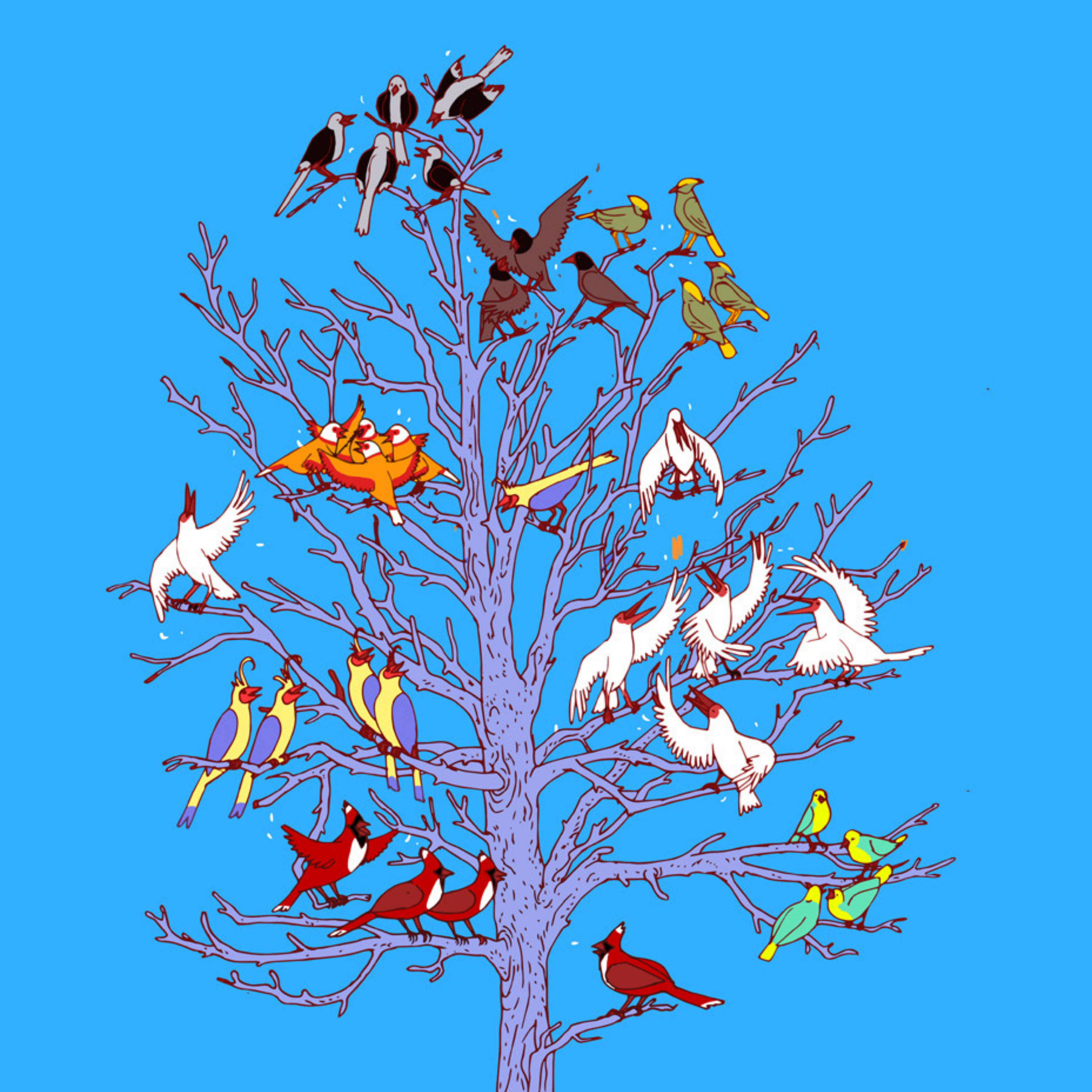 אנשים באים בלהקות: על הכוח הסמוי והאדיר של רשתות אנושיות