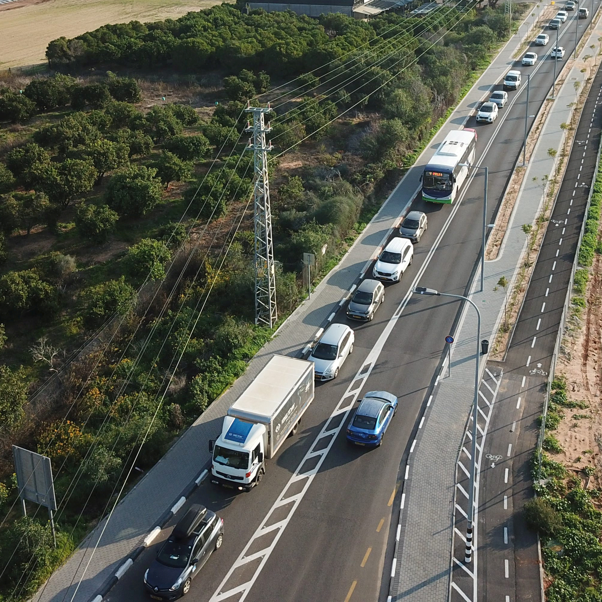 פליטי הפקקים