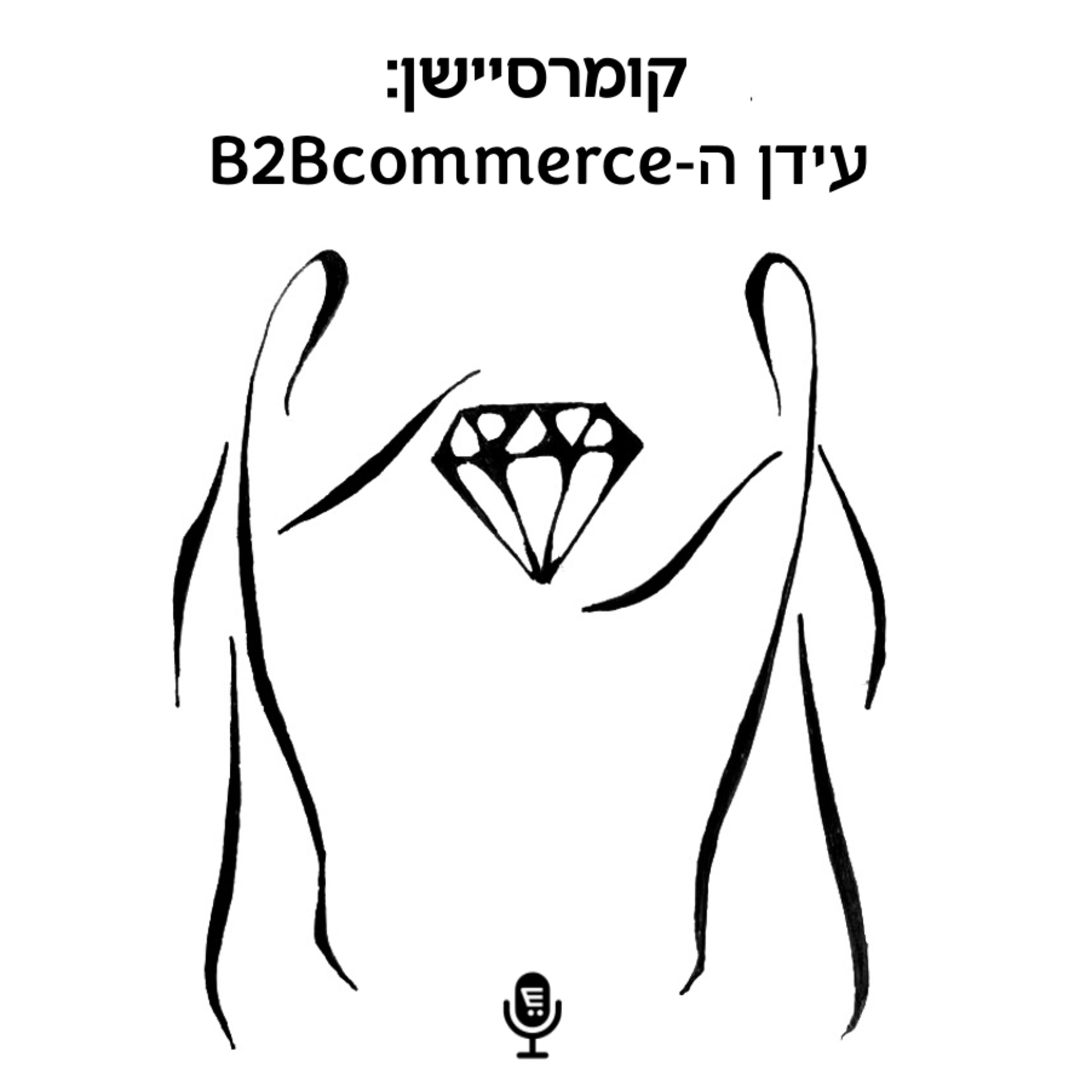 S7E3: קומרסיישן 117: עידן ה- B2B Commerce