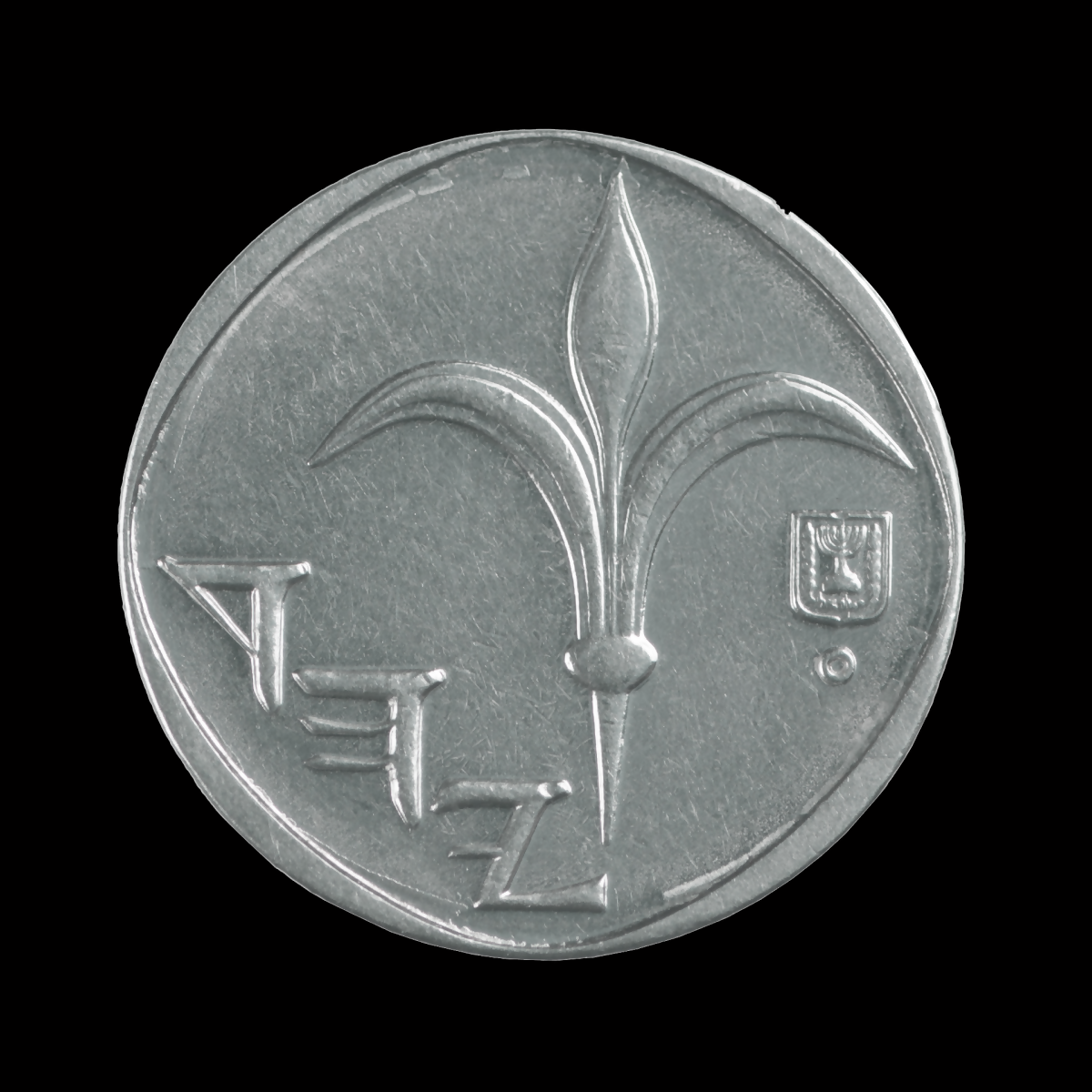 פרק 2: סיפורו של השקל