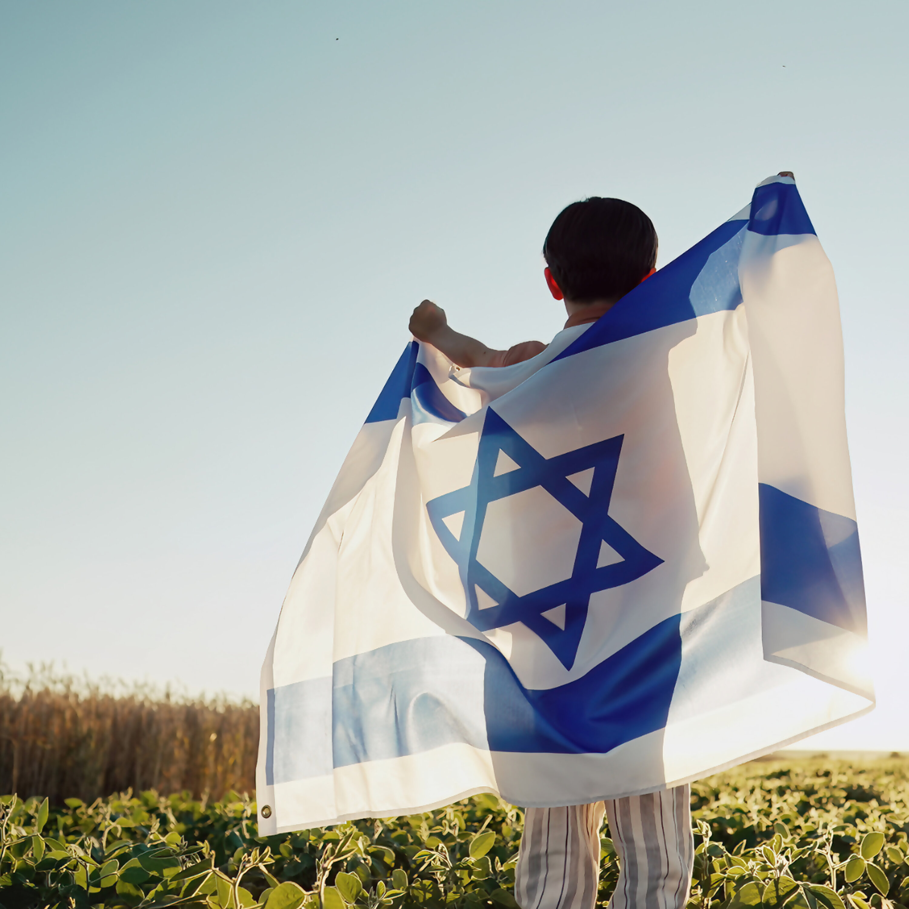 פרק 37: קרן העושר של אזרחי ישראל - מאחורי המספרים של הדוח השנתי episode artwork