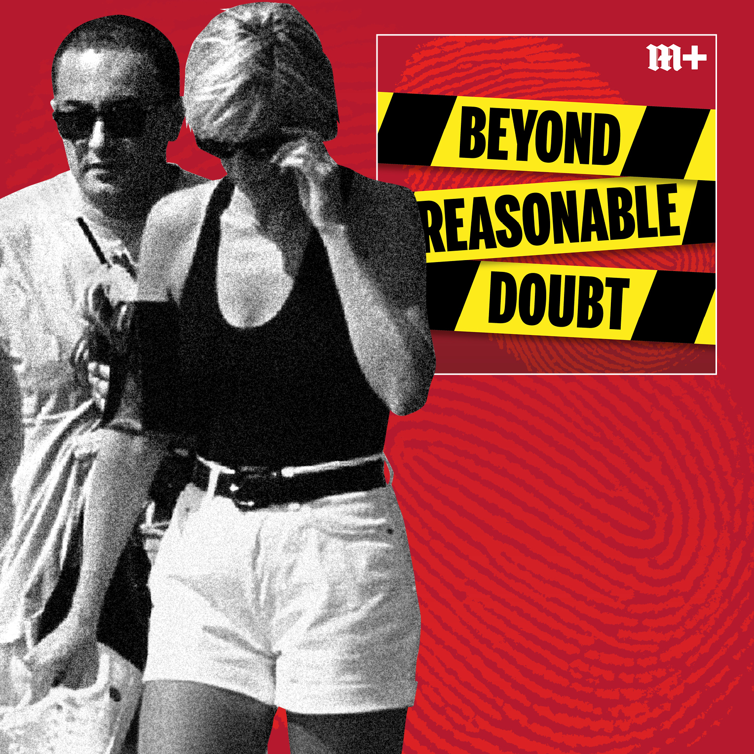 Beyond Reasonable Doubt