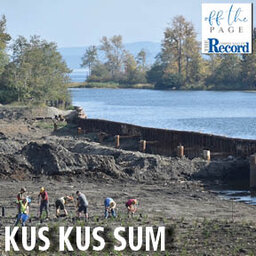 Taking a look at Kus-Kus-Sum
