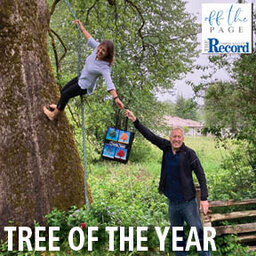 Hanging onto Valley history with the Tree of the Year