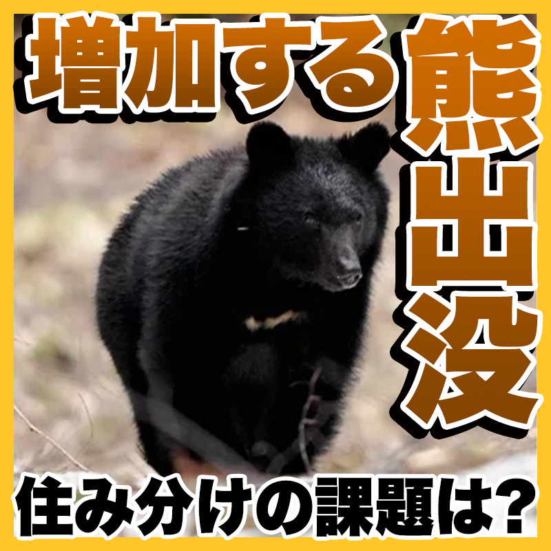 過去最悪のクマ被害　人間社会との住み分けに課題は？