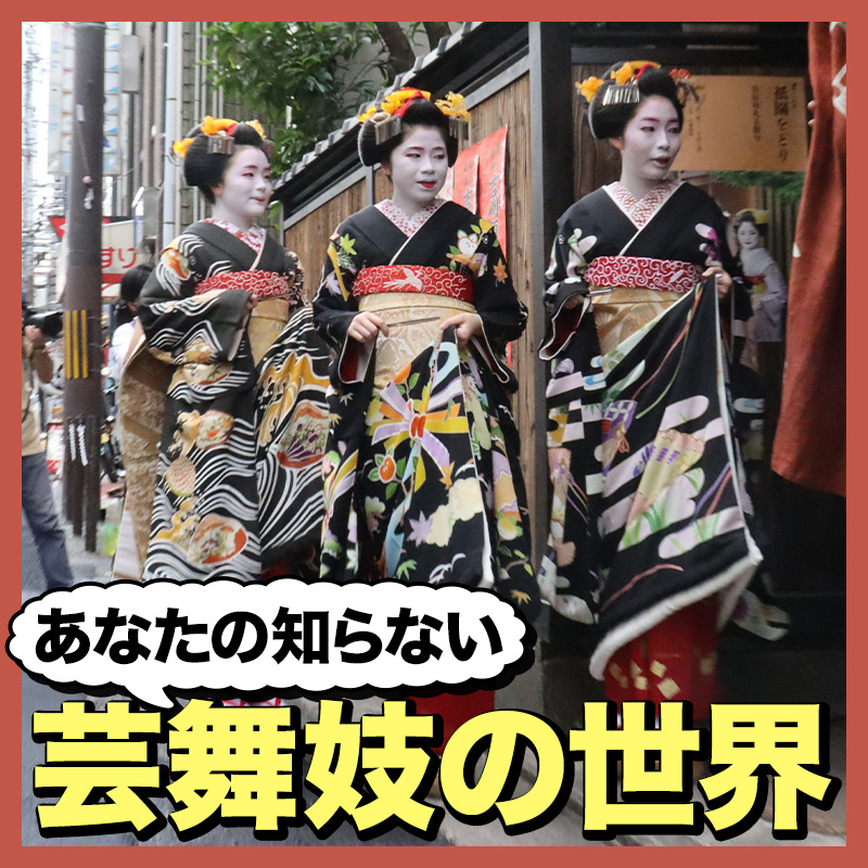 あなたの知らない芸舞妓の世界　京都花街を取材する記者に聞いた