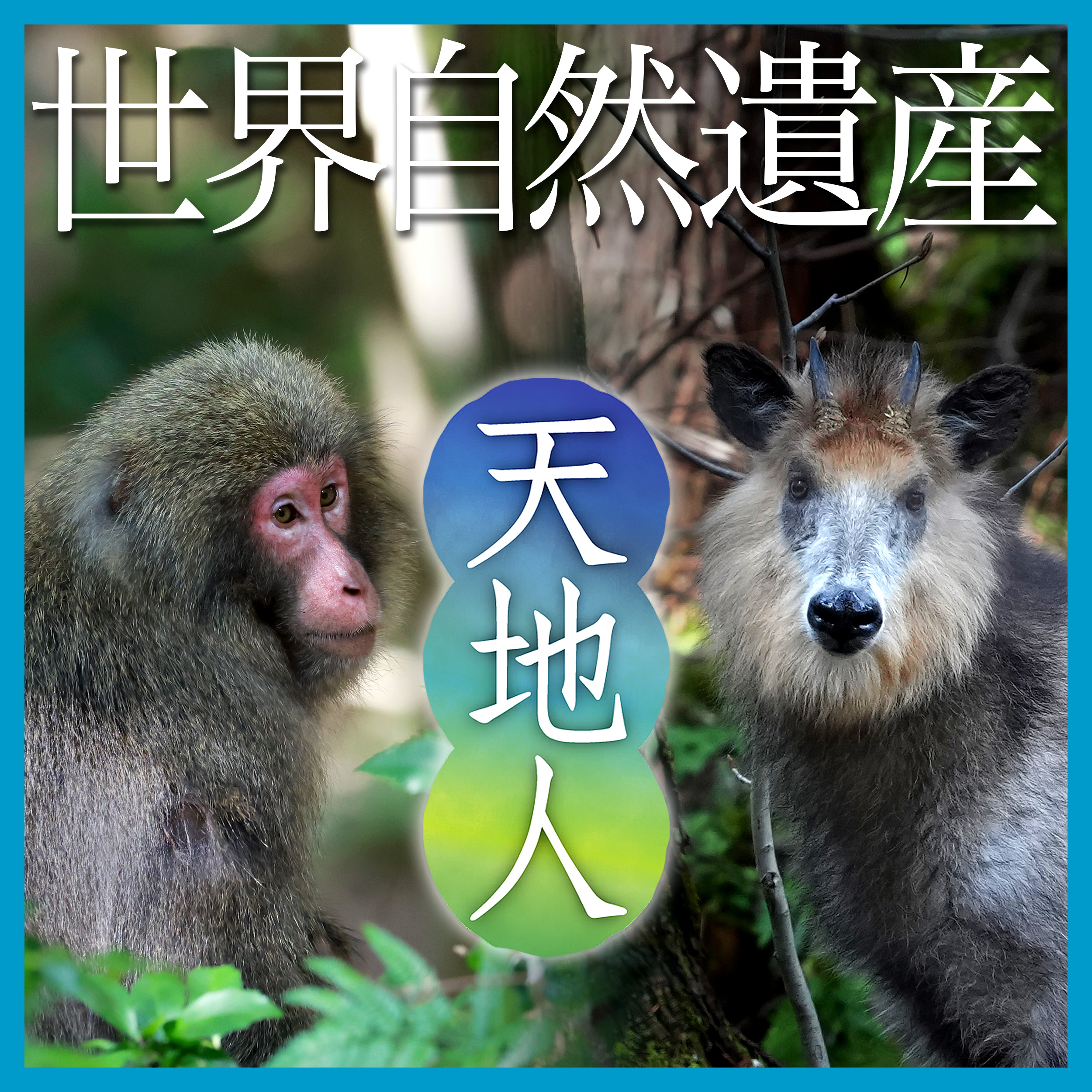 世界自然遺産を撮る！ 写真部カメラマンにノウハウを聞いてみた