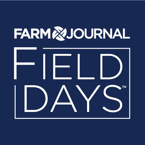 Turnaround Interview with Mark Faust: Brendan Deck