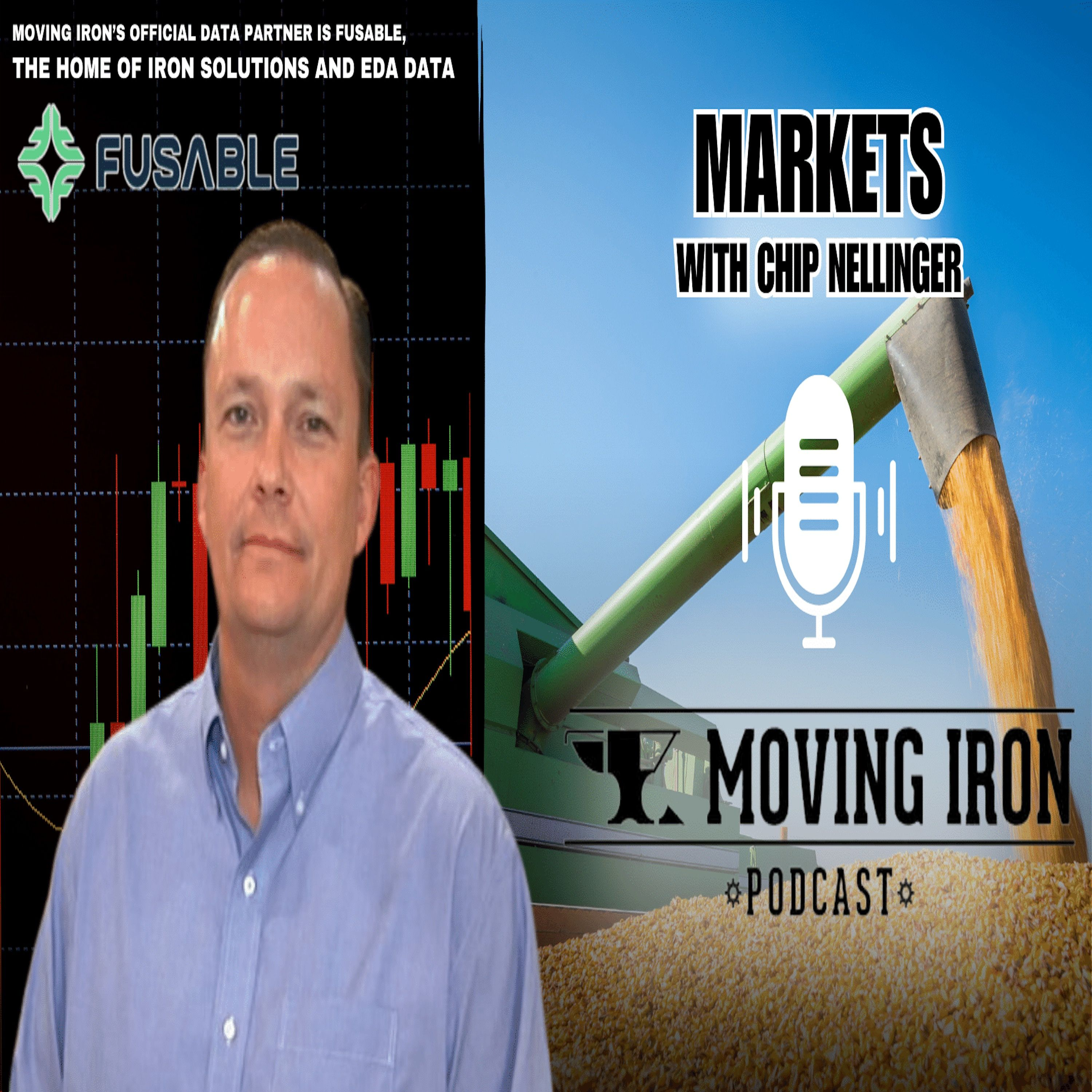 The November Report Recap MIP Markets with Chip Nellinger episode artwork