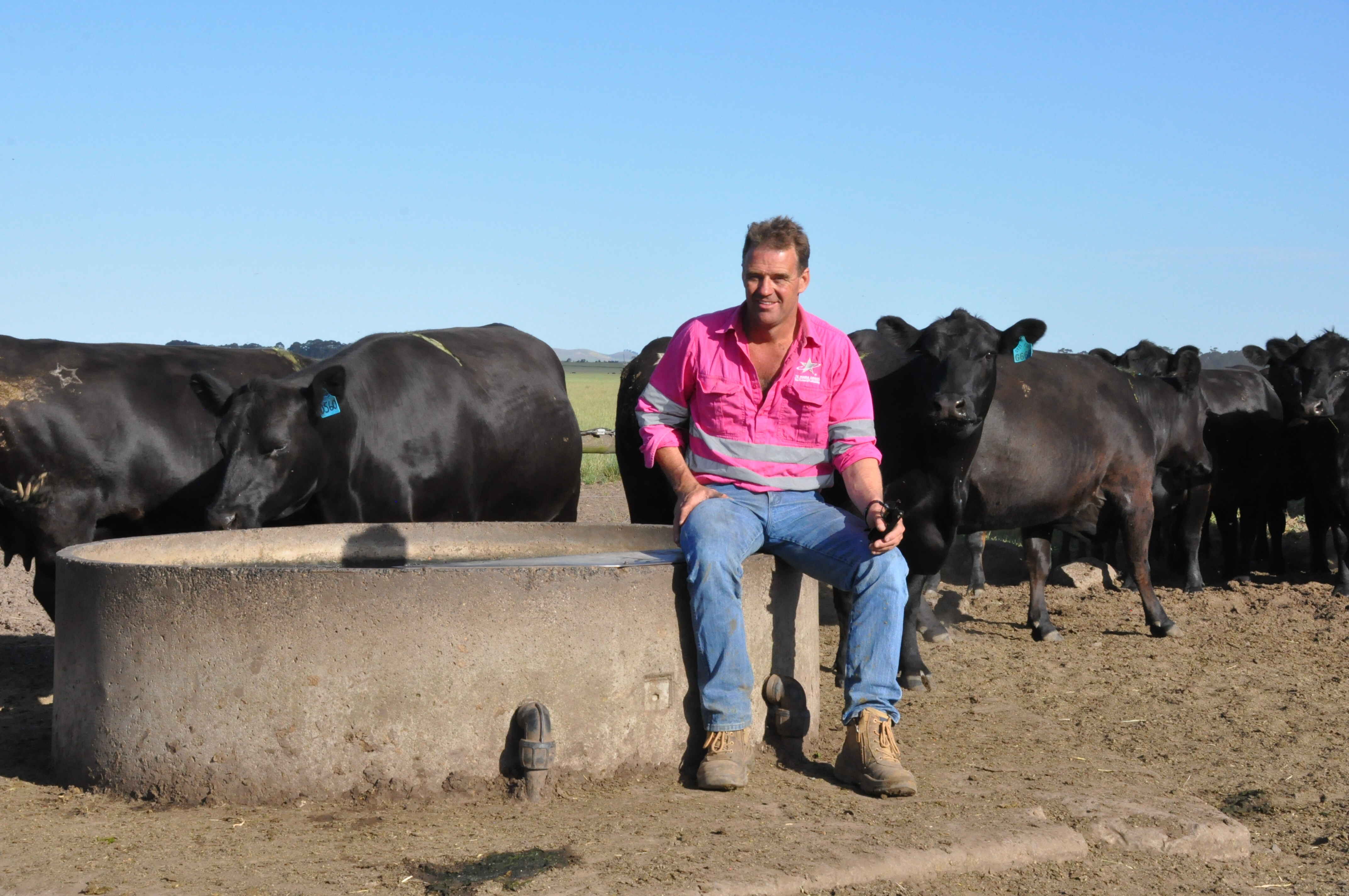 Episode 22: Tom Gubbins on Quality Meat Scotland Podcast