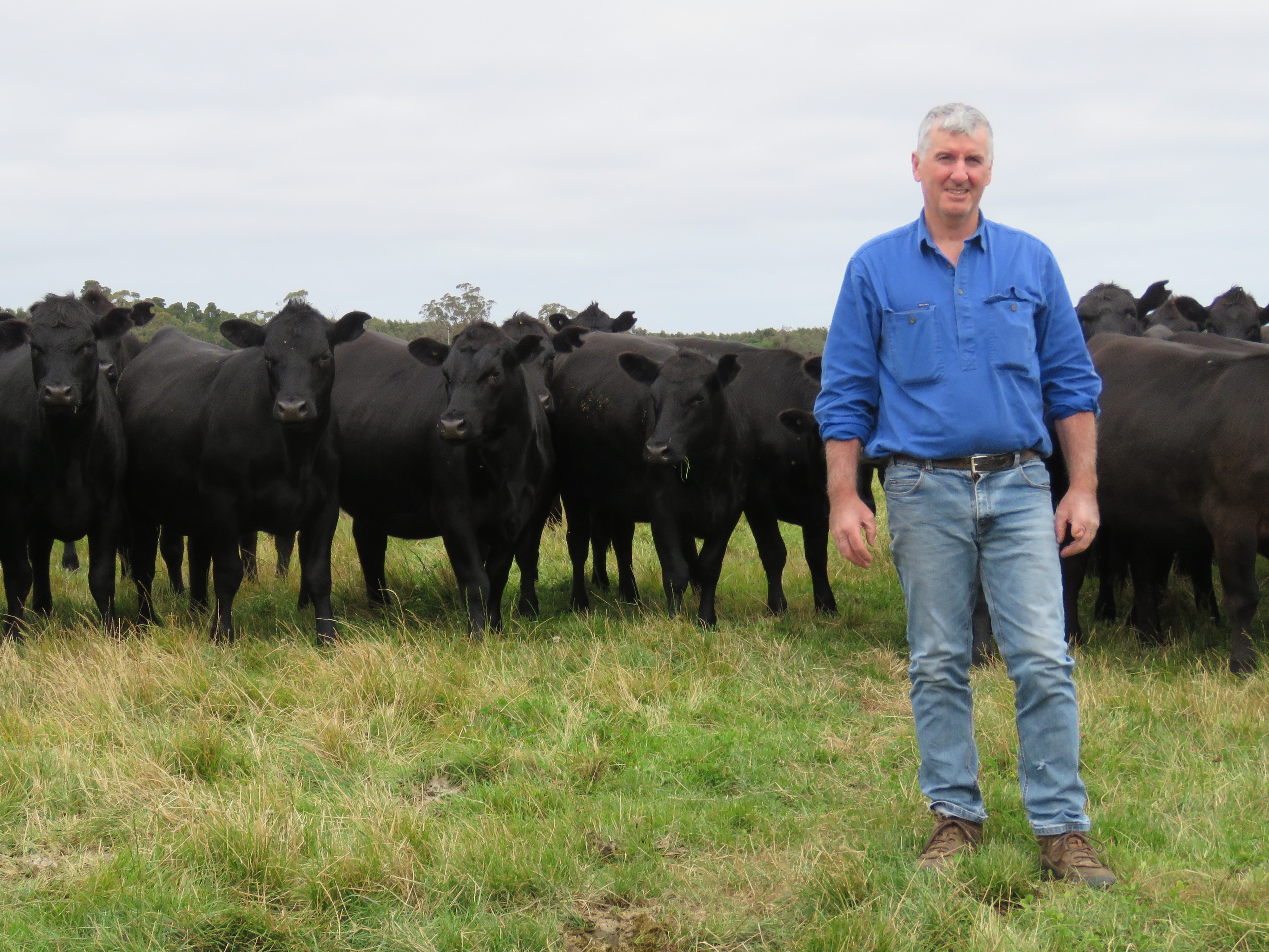 Episode 23: Colin Henke - The Power of Genetic Turnover