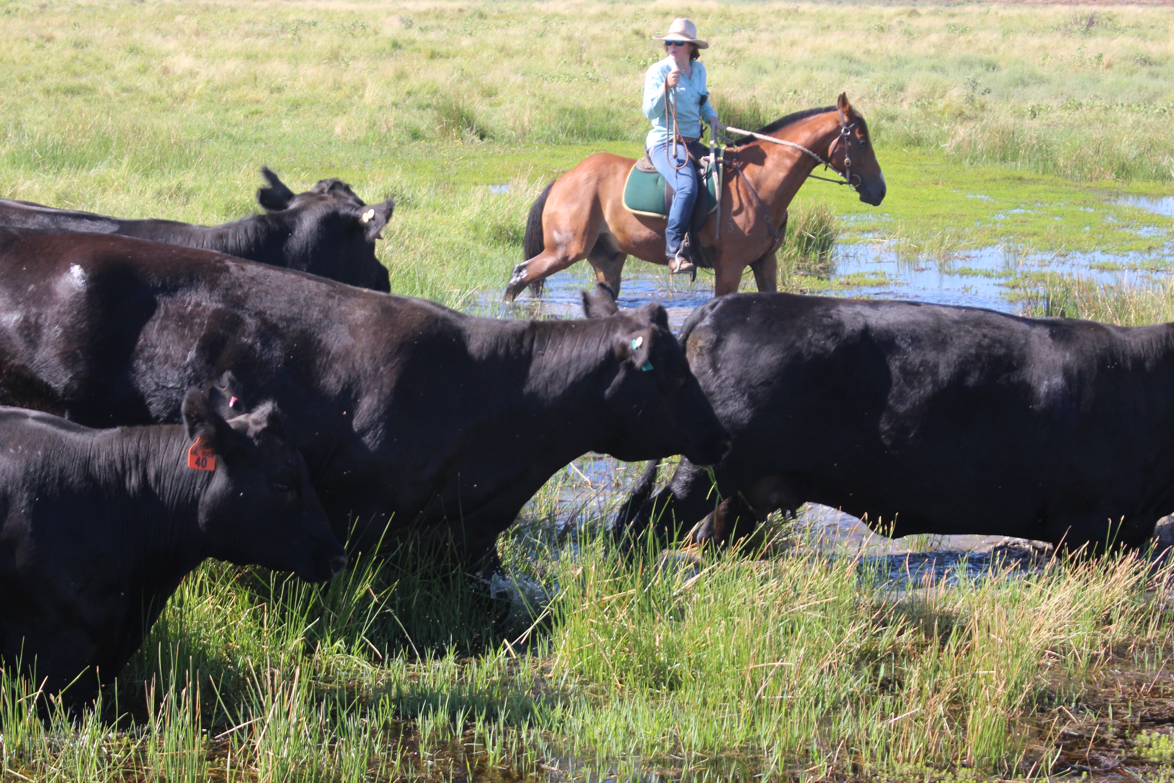 Episode 26: Garry and Leanne Hall - living and thriving in the wetlands and the dry.