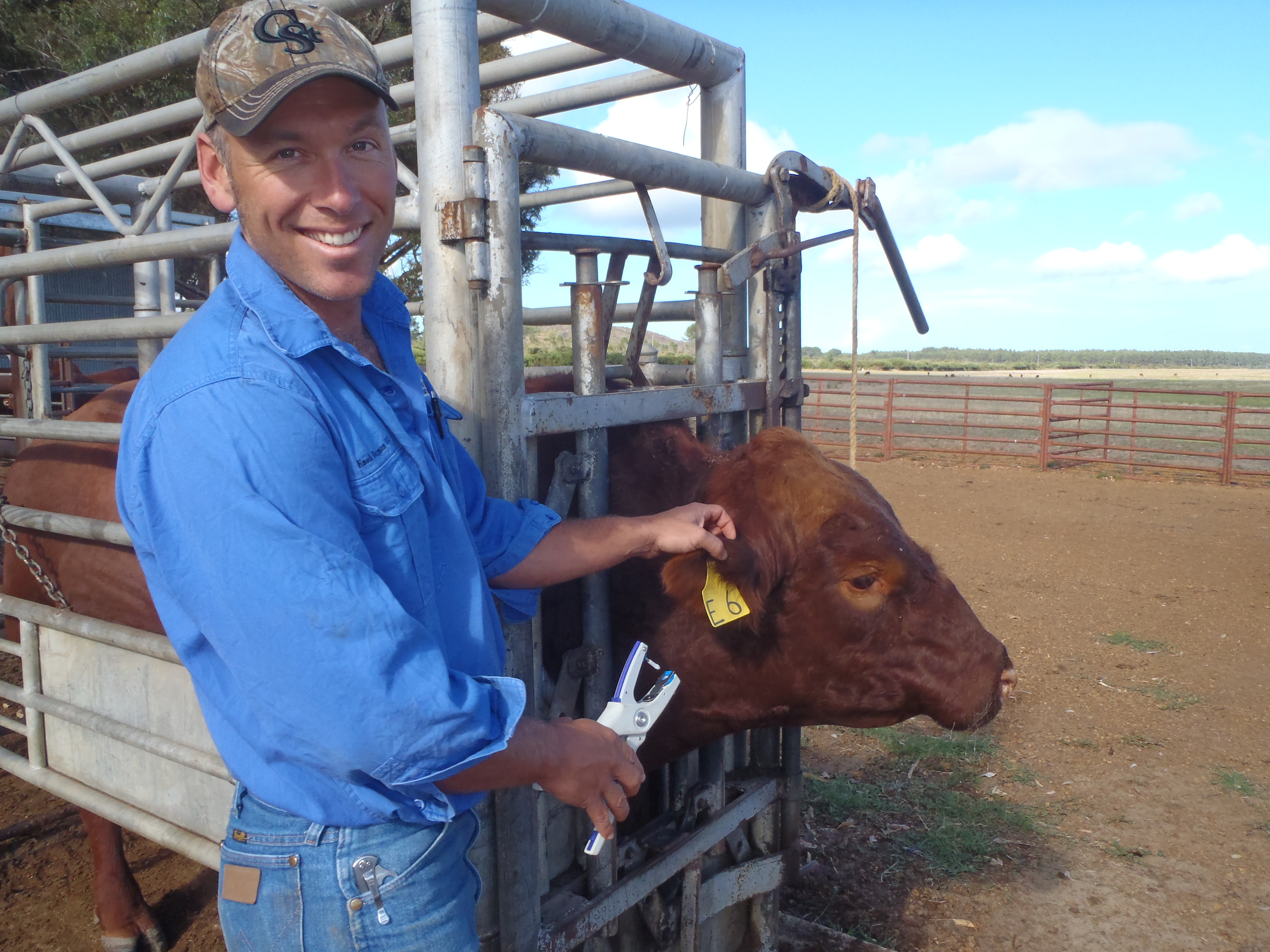 Episode 18: Enoch Bergman - Ramped up rebreeding