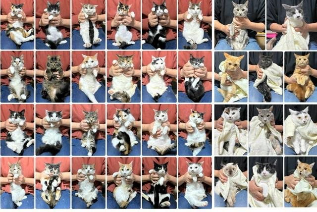 4月12日 8時の最新ニュース