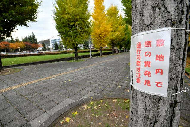 11月7日 AI編集長の前日ピックアップニュース