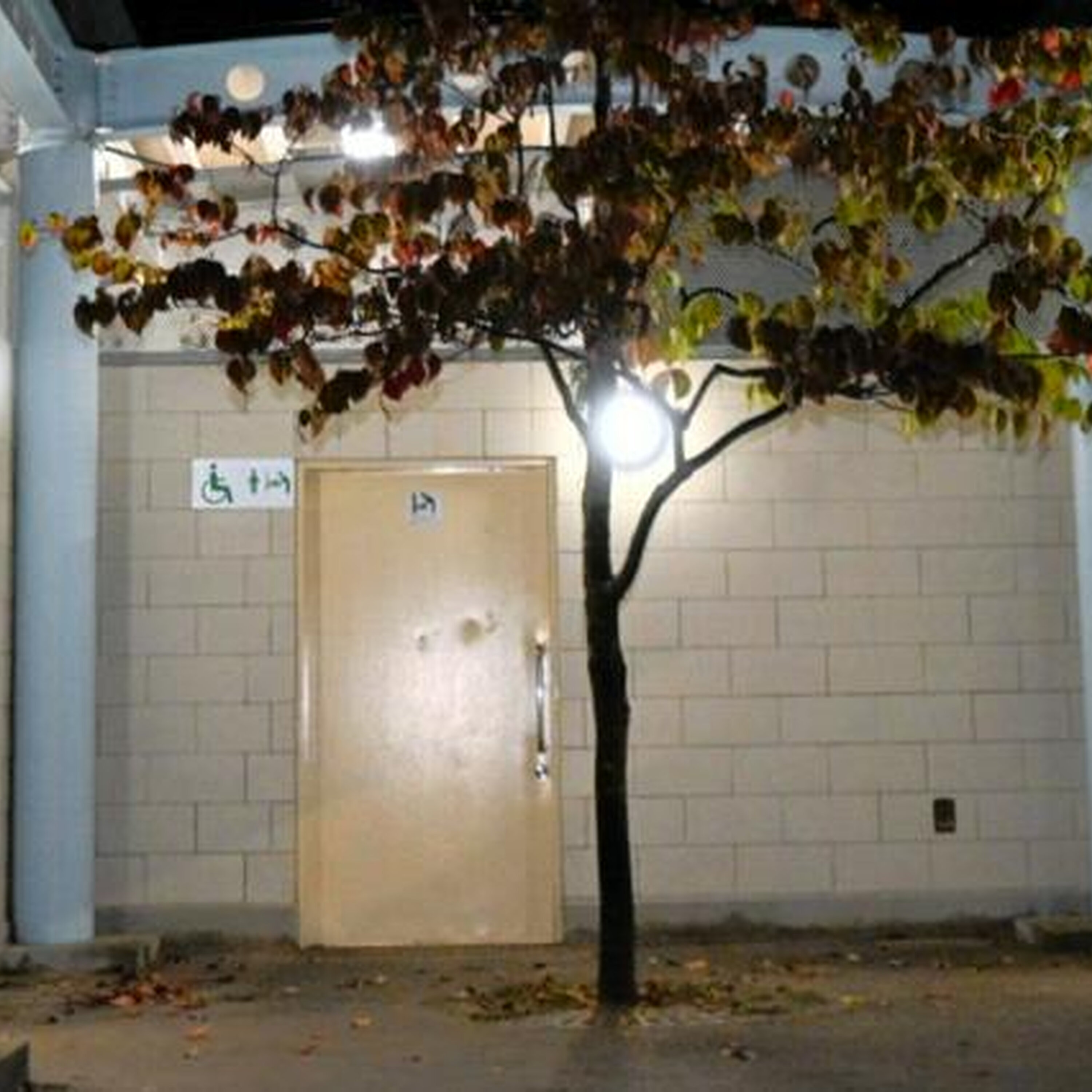 11月6日 19時の最新ニュース 11月6日 19時の最新ニュース