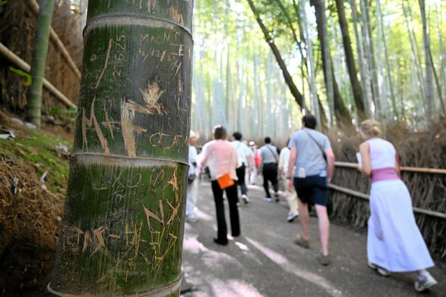 4月21日20時 国内・文化のニュースまとめ