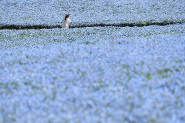 4月17日20時 国内・文化のニュースまとめ