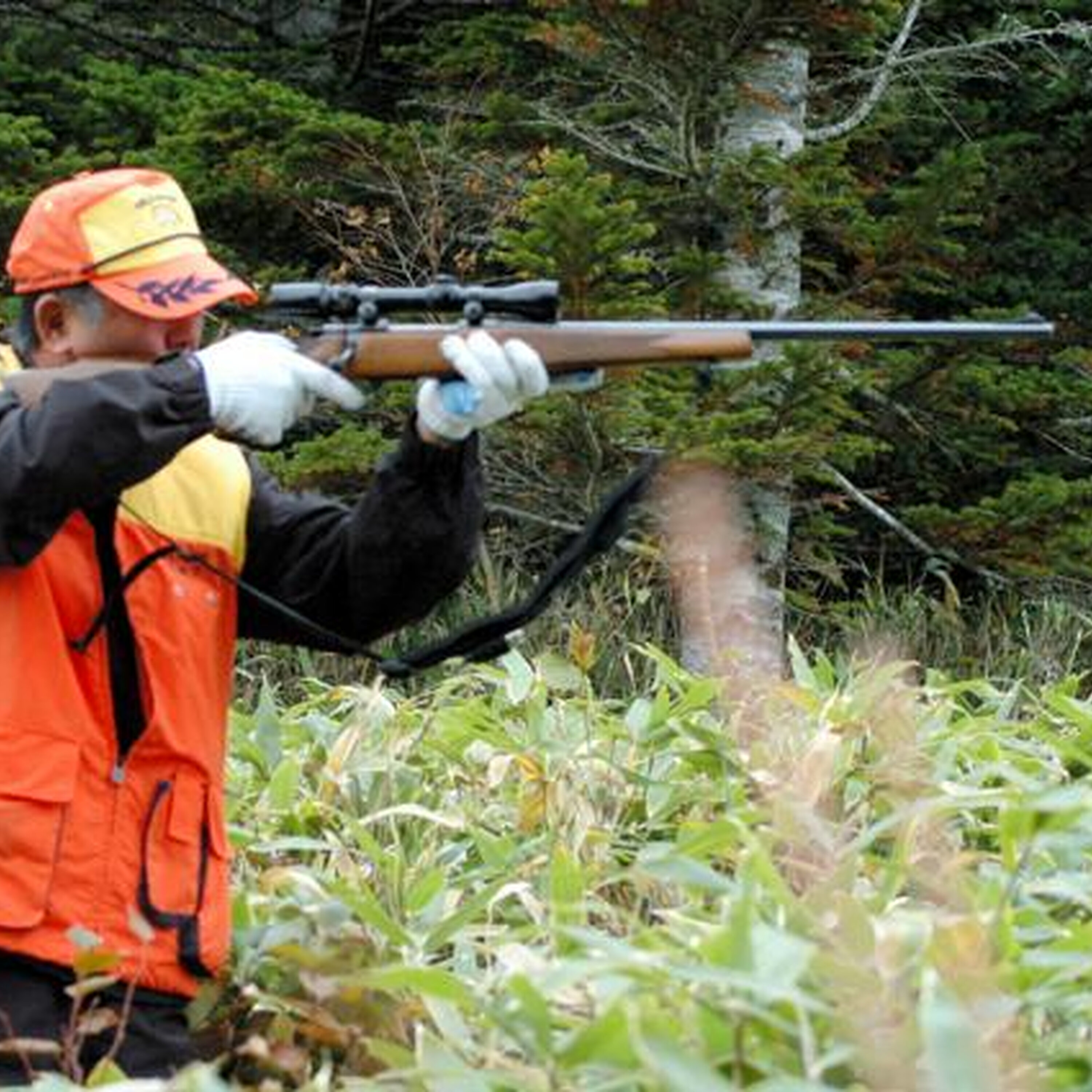 10月31日9時 国内・文化のニュースまとめ