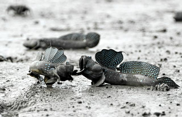 3月27日22時 経済・スポーツ・科学のニュースまとめ