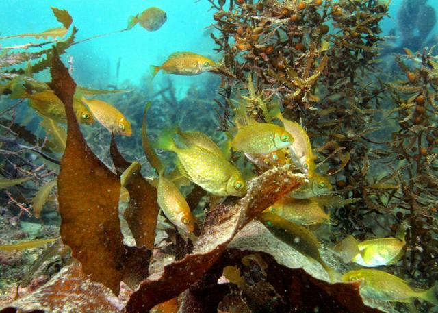 4月24日11時 経済・スポーツ・科学のニュースまとめ