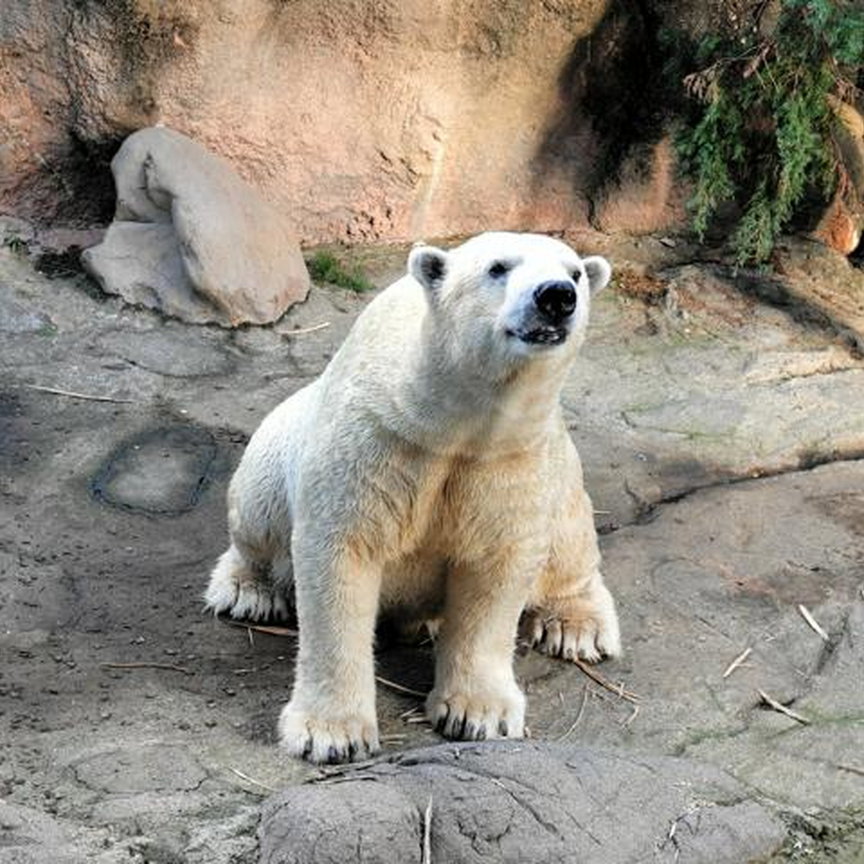4月10日 18時のAI編集長ピックアップニュース 4月10日 18時のAI編集長ピックアップニュース