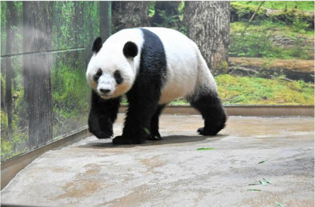 12月16日 AI編集長の前日ピックアップニュース