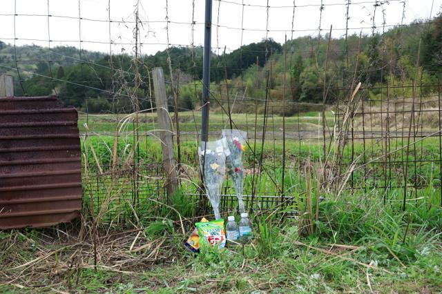 4月21日 AI編集長の前日ピックアップニュース