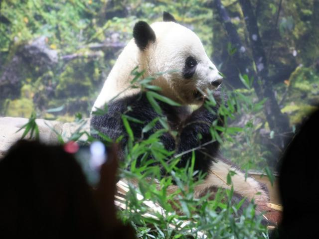 12月17日 AI編集長の前日ピックアップニュース