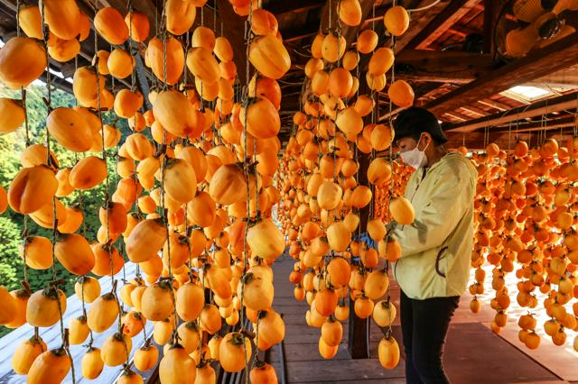 11月17日 8時の最新ニュース