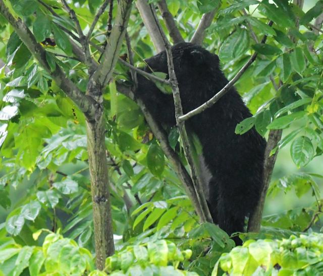 11月2日 12時のAI編集長ピックアップニュース