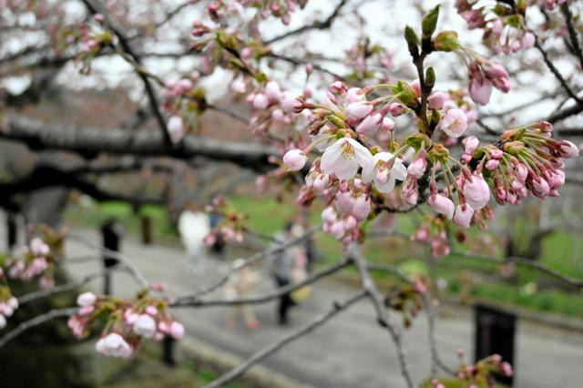 4月20日 17時の最新ニュース