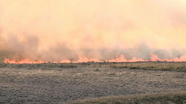 4月17日16時 国内・文化のニュースまとめ