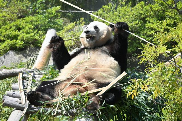 4月26日 18時のAI編集長ピックアップニュース