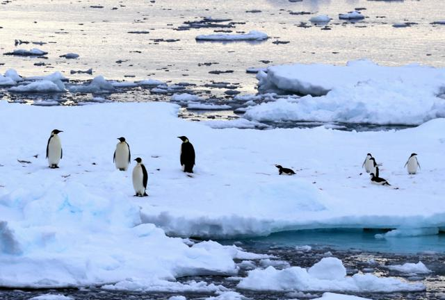 12月16日11時 経済・スポーツ・科学のニュースまとめ