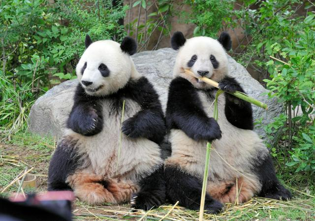 12月15日 6時の最新ニュース