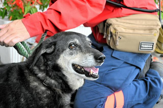 11月20日 18時のAI編集長ピックアップニュース