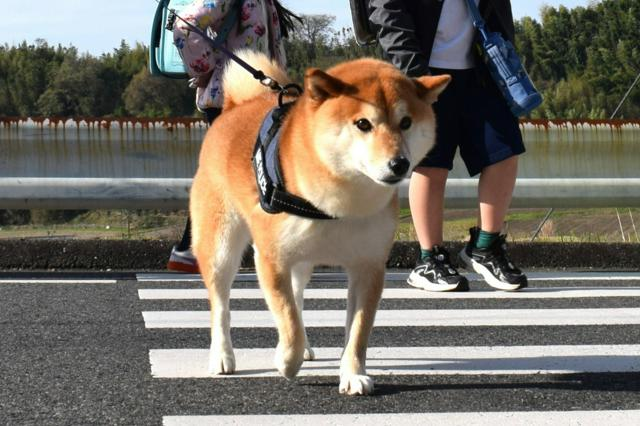 4月12日 12時のAI編集長ピックアップニュース