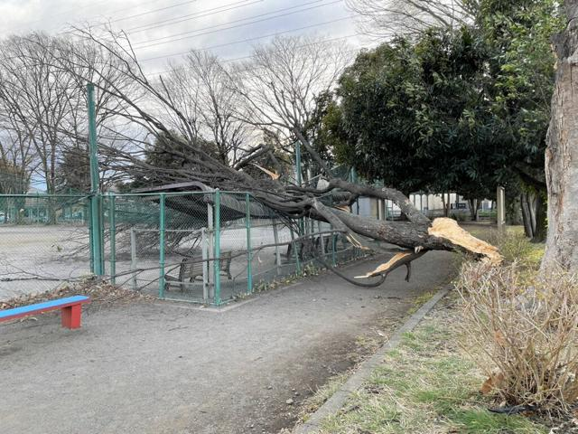 4月17日 21時の最新ニュース