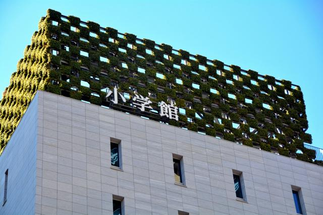 4月17日 21時の最新ニュース