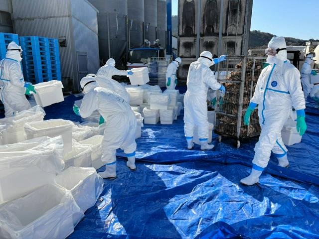 12月16日 13時の最新ニュース