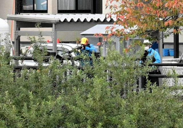 10月30日 17時の最新ニュース