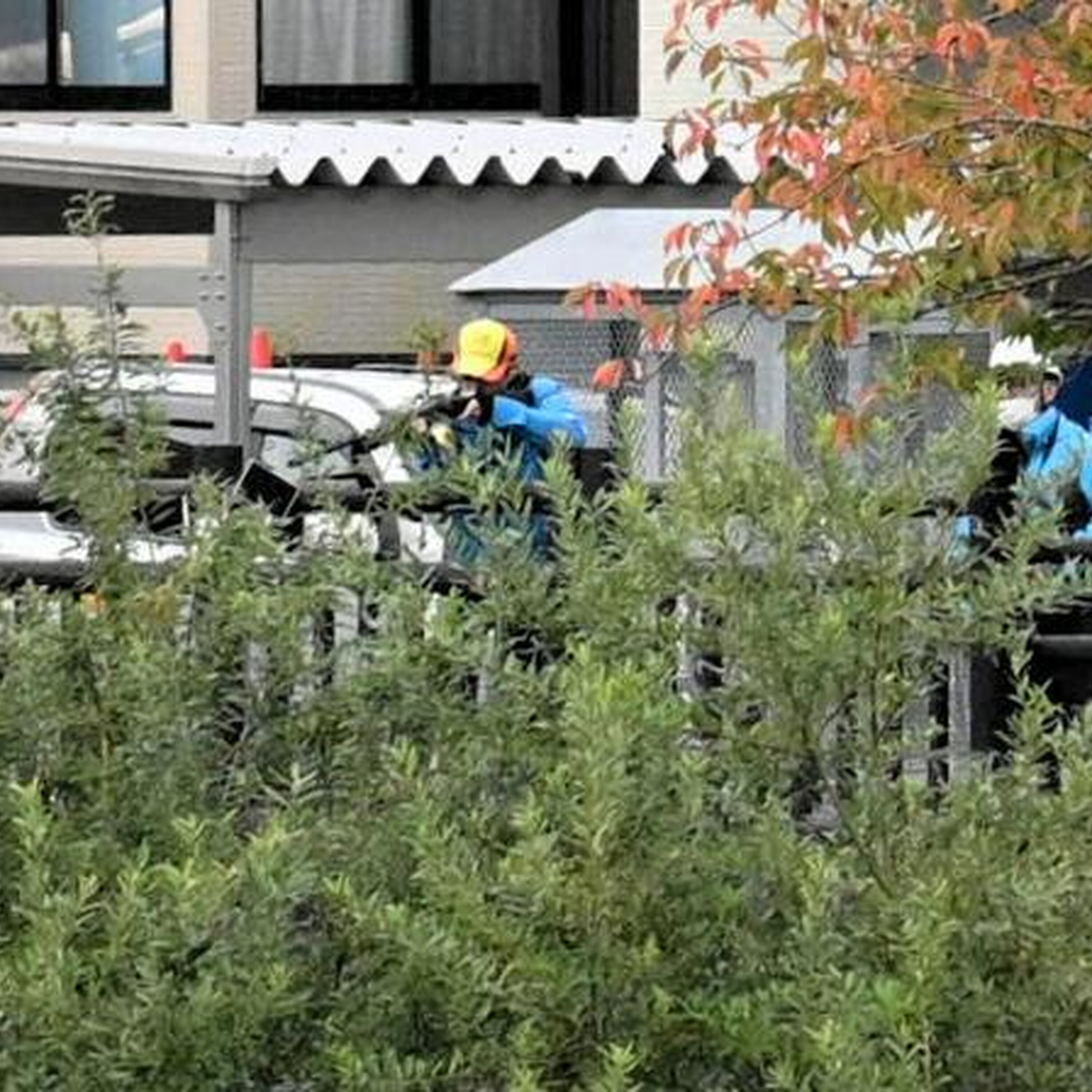 10月30日 17時の最新ニュース