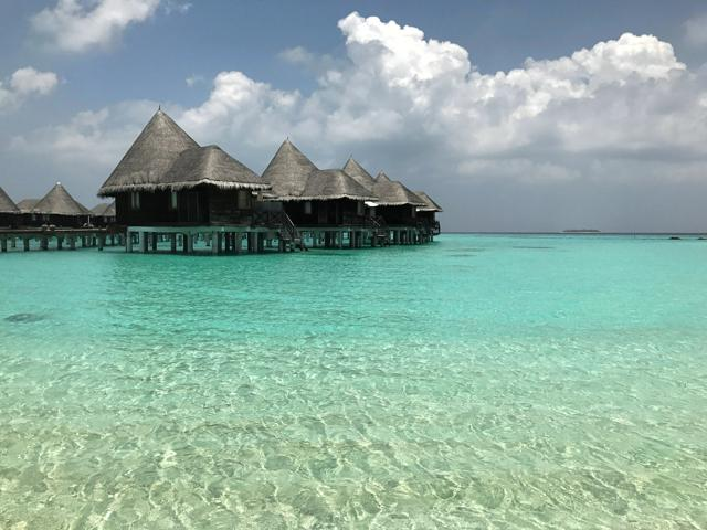 11月17日7時 政治・国際・医療のニュースまとめ