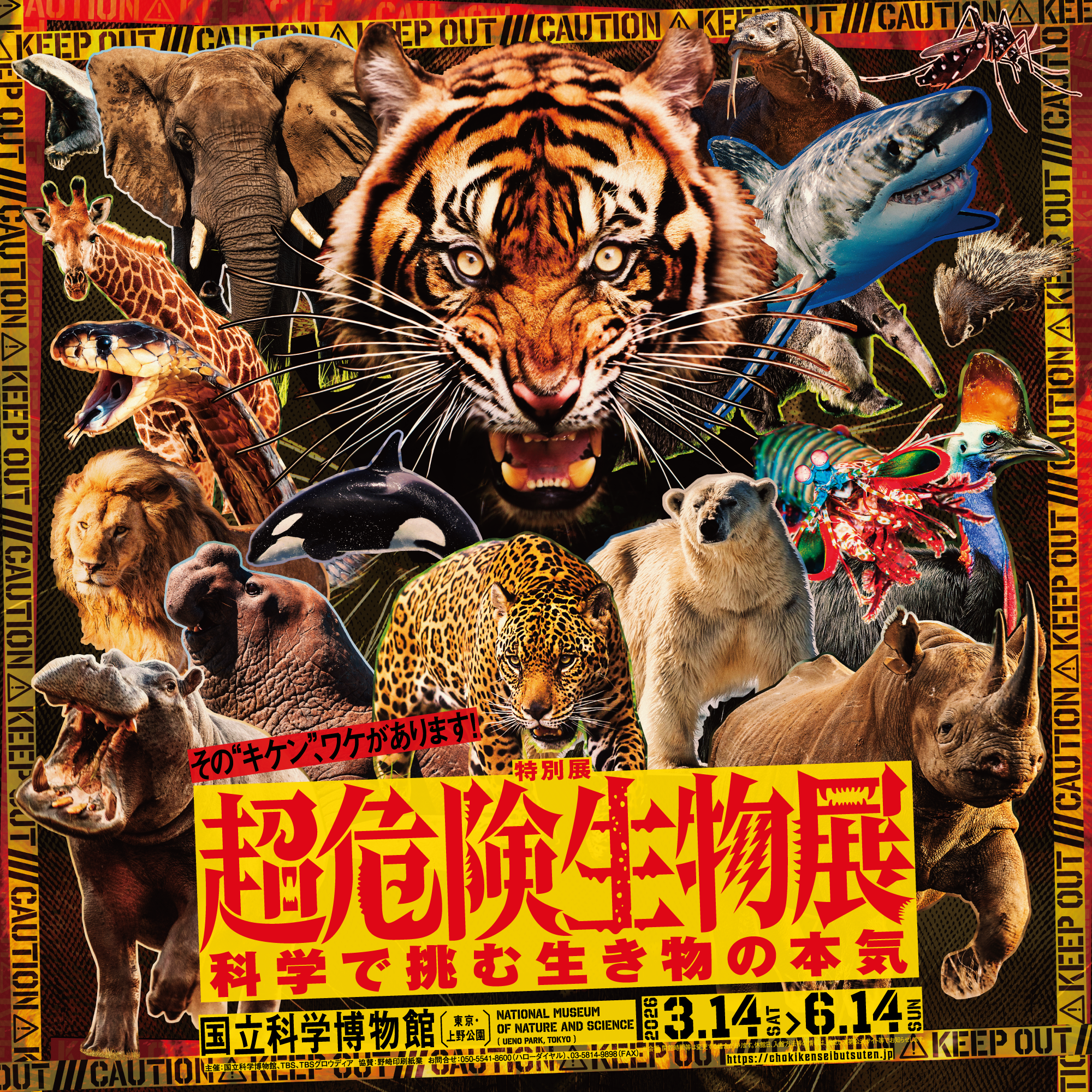 「死の抱擁」に「嫌な成人式」　気になった生き物の必殺技（超危険生物展・前編） #1068