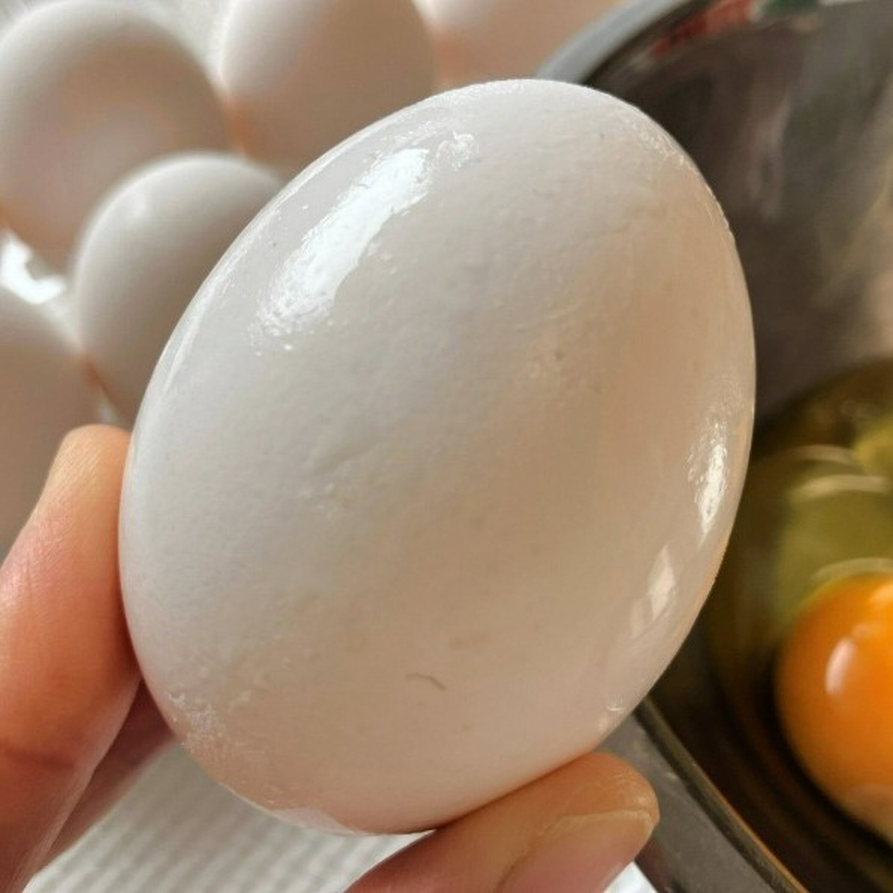 卵を割るとき、どっち向き? 見えない私が伝える料理のワクワク(食のへぇ~) #983