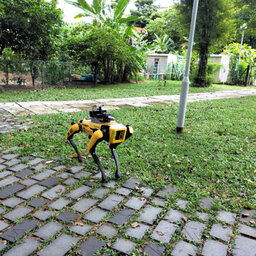 #6 シンガポール①　ロボット犬がにらんでる　「管理社会」の理詰めコロナ策