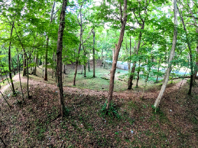 寝たきりの子を大人になるまで介護？　遺跡からみえる縄文人の社会（前編） #836